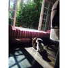 ashleybenson Altpins Profile Picture