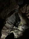 vvelum_ Altpins Profile Picture