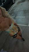 poppyymatildaa Altpins Profile Picture