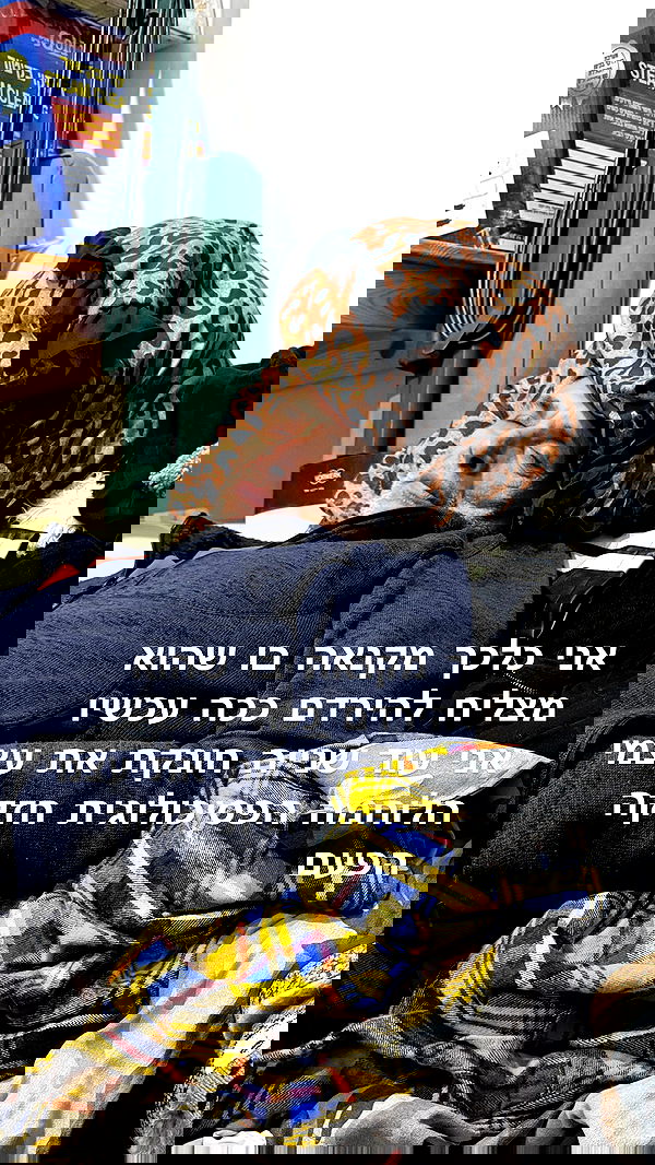 strawberryshanz strawberryshanz archive image