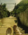 __rrenard__ Altpins Profile Picture
