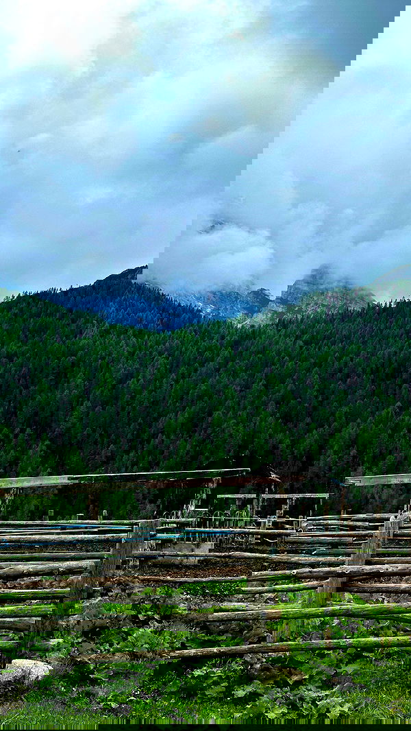 taylor.creeden taylor.creeden archive image