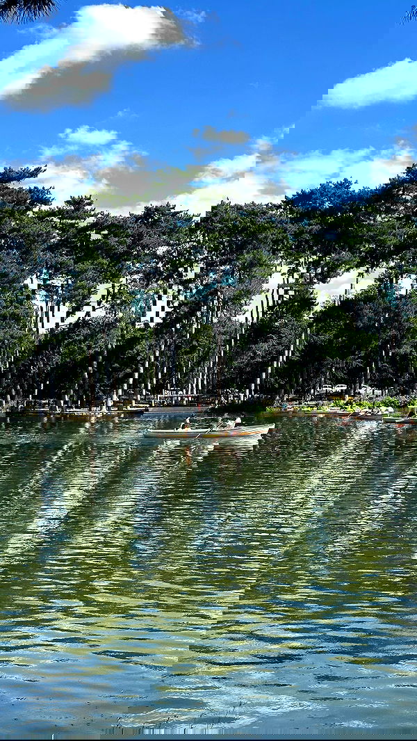 manjolamuriqi manjolamuriqi archive image