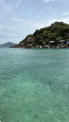 shirakor_ Altpins Profile Picture