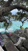 daisy_r_19 Altpins Profile Picture