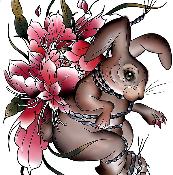 taxevasionkoala instagram image archive image