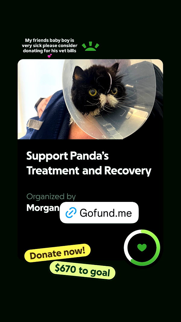 mewisa instagram image archive image