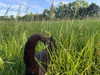 m1lkh8club Altpins Profile Picture