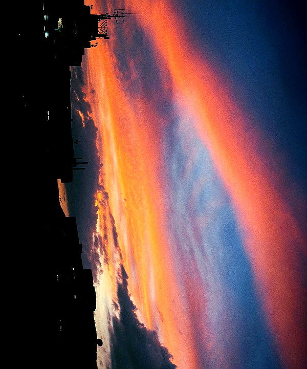 rei.sigalov instagram image archive image
