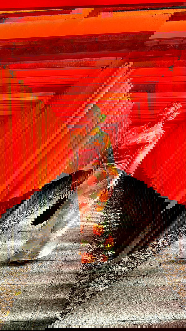 taylor.creeden taylor.creeden archive image