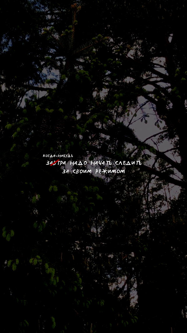alisen.mari instagram image archive image