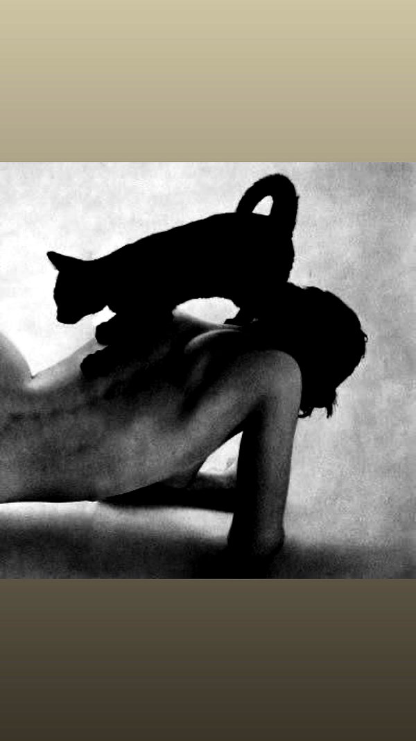 karolinaawasik archive image