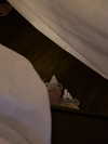 naivems_ Altpins Profile Picture