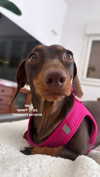 maya.keyy Altpins Profile Picture