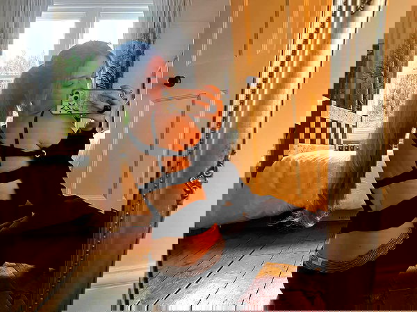 kitty.elliss kitty.elliss archive image