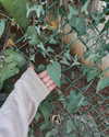 mishel_d_ Altpins Profile Picture