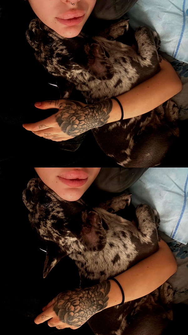 rott3nbambi instagram image archive image