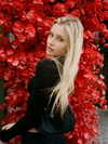 whylollycry Altpins Profile Picture