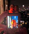taratornquist Altpins Profile Picture