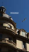 annabottoo Altpins Profile Picture