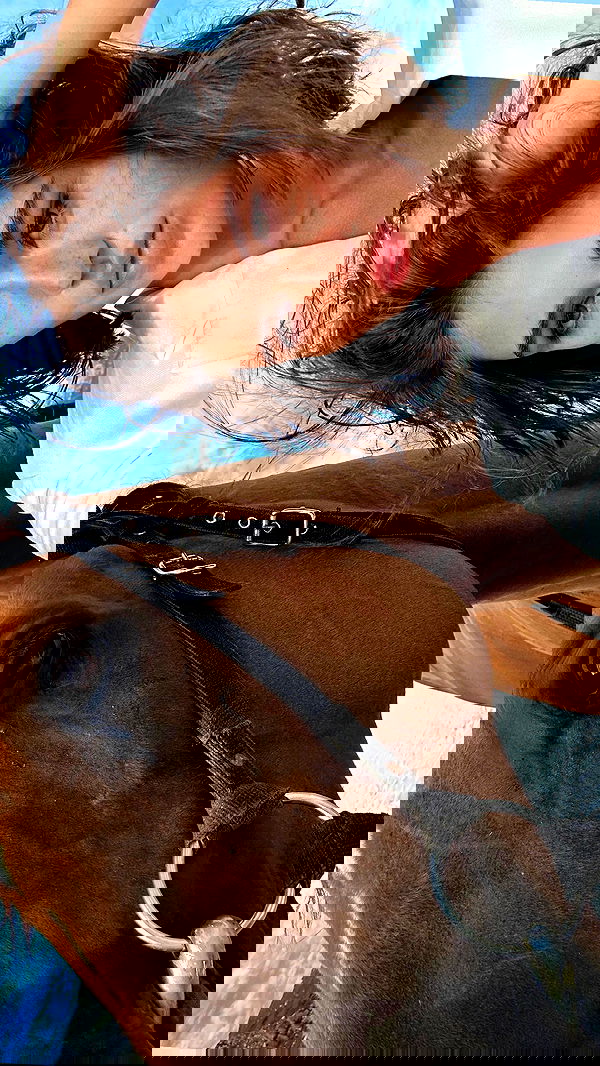 taylor.creeden taylor.creeden archive image