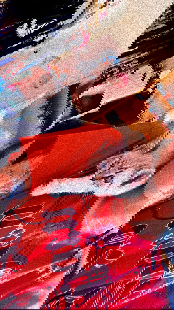 suikomuu suikomuu archive image