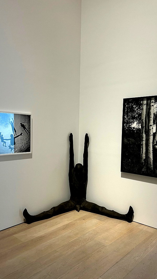 levsave instagram image archive image