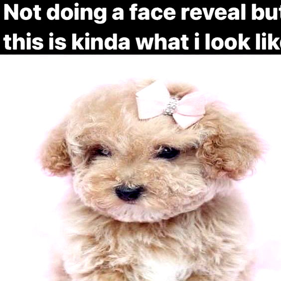 1uvgabi instagram image archive image