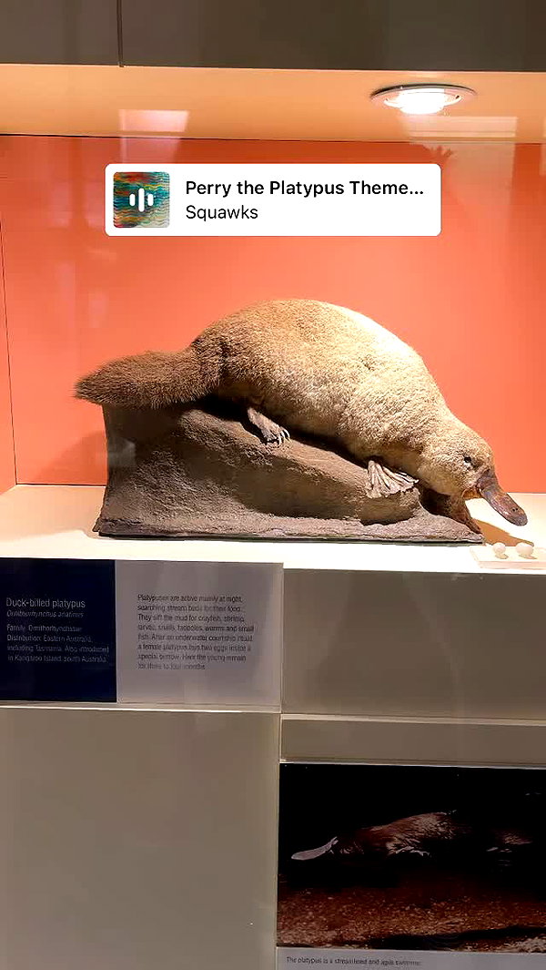 kesemgreenyer instagram image archive image