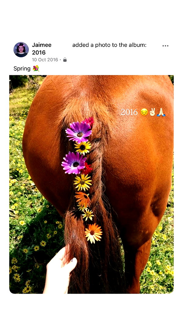 jtilb instagram image archive image