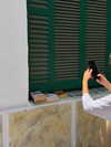 ainaratorneg Altpins Profile Picture