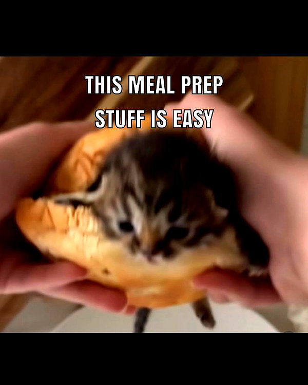 leanbeefpatty instagram image archive image