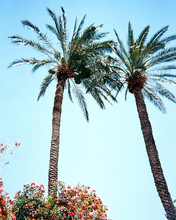 shirelokavi instagram image archive image