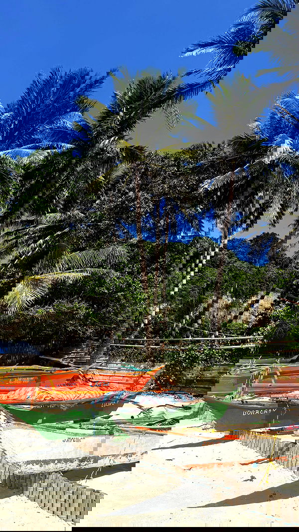 _shirel.dahan_ _shirel.dahan_ archive image