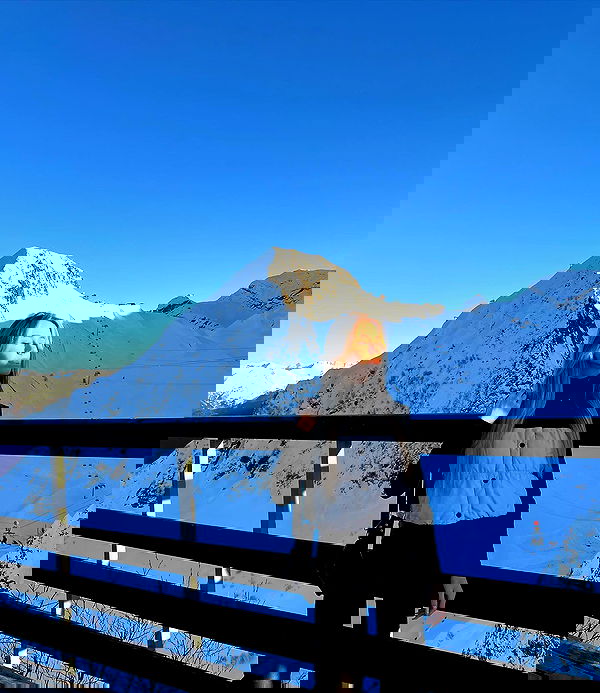 pinx_ir pinx_ir archive image