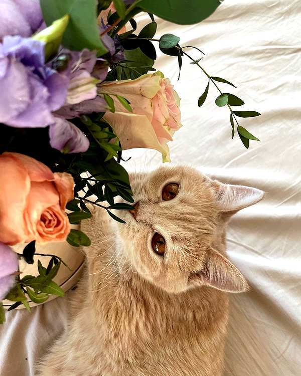 lerkamiill instagram image archive image