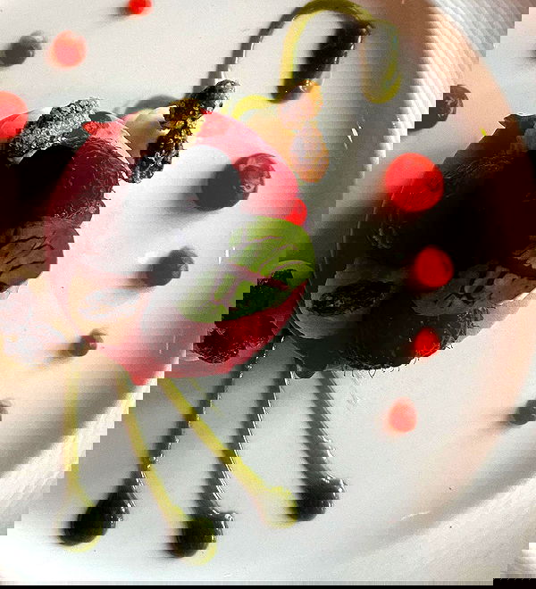 taylor.creeden taylor.creeden archive image