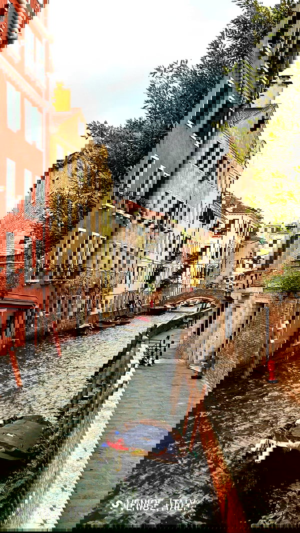 swfx_real swfx_real archive image