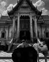 orman.mariee Altpins Profile Picture