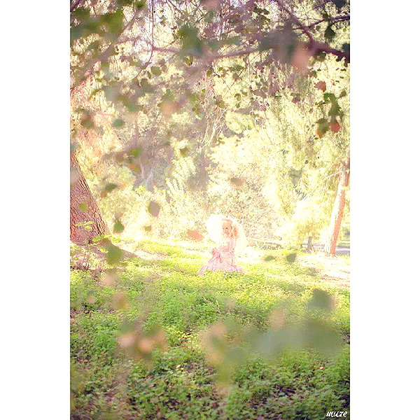 muze instagram image archive image