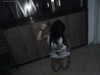 hellokittyangel666 Altpins Profile Picture