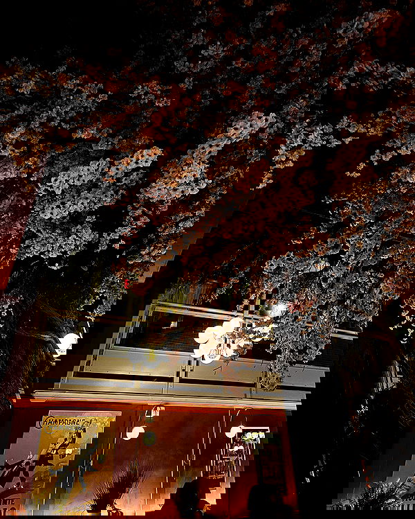 taylor.creeden taylor.creeden archive image