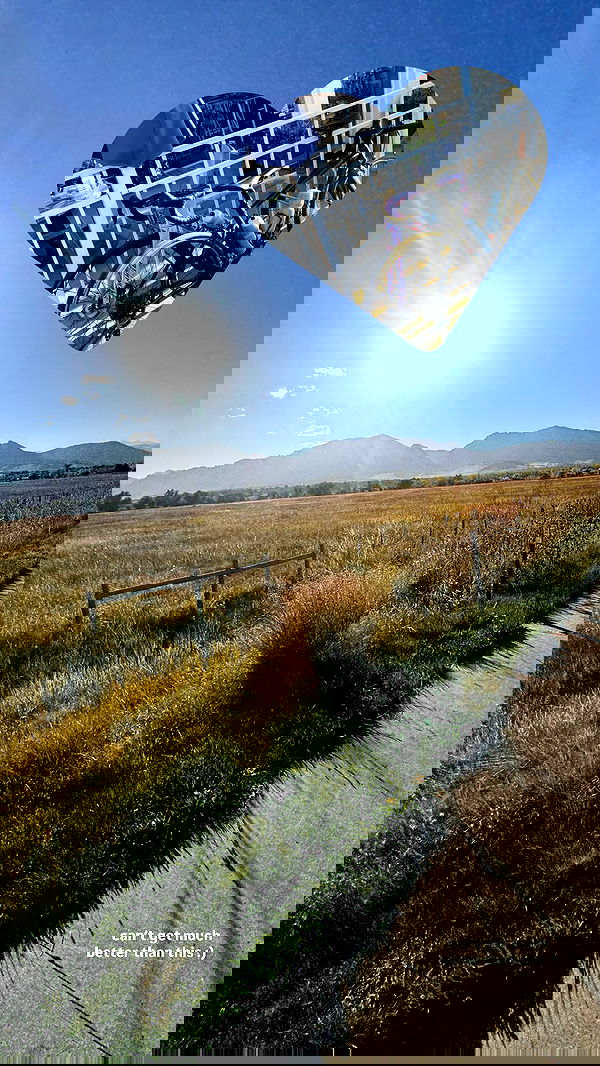 thelizzyporter thelizzyporter archive image