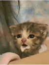 milkiwifey Altpins Profile Picture