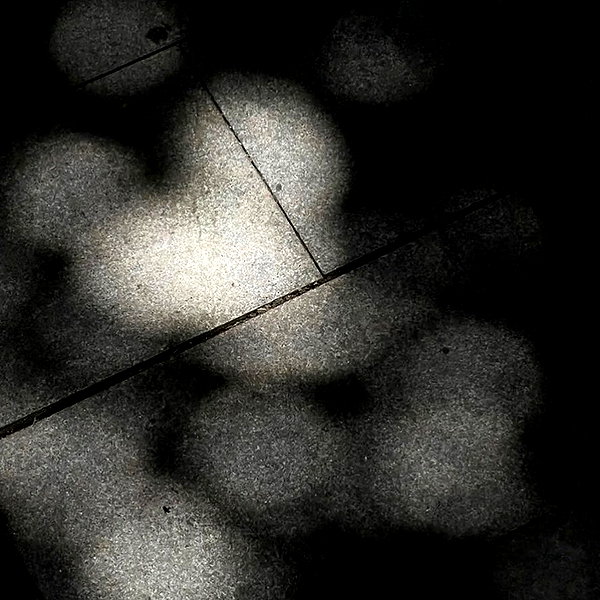 a.tinn___ instagram image archive image