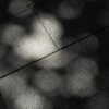 a.tinn___ Altpins Profile Picture