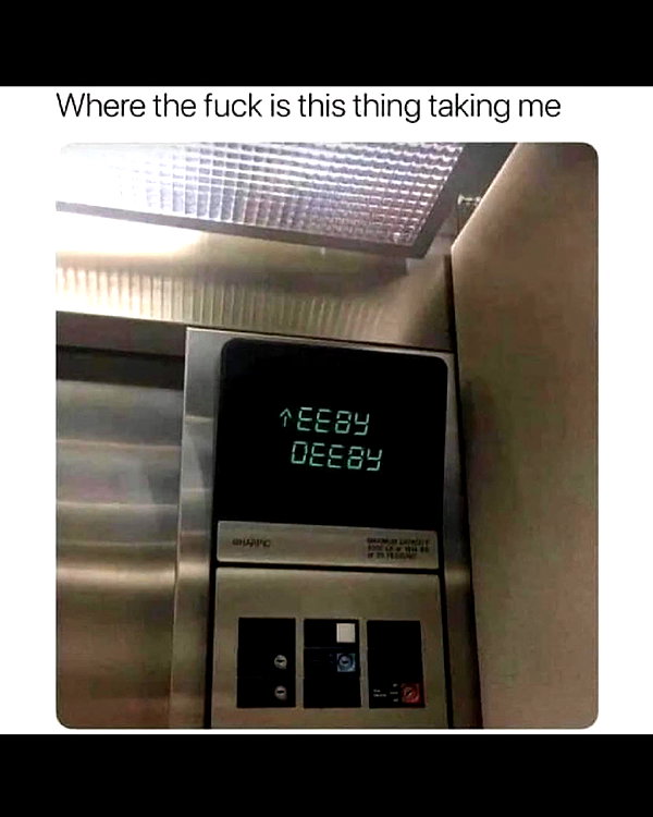 leanbeefpatty instagram image archive image