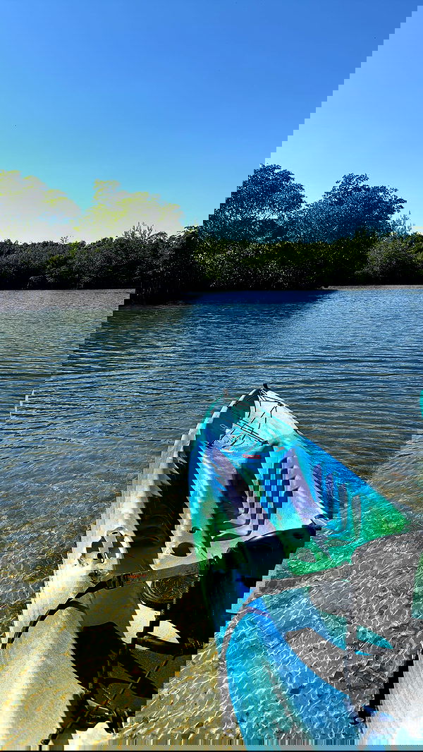 biton__adi biton__adi archive image