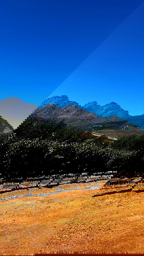 taylor.creeden taylor.creeden archive image