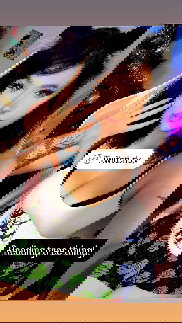 chibinekopurr chibinekopurr archive image